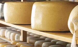 Franciacorta-in-Bianco